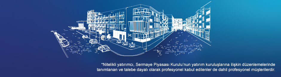 Yapı Kredi Portföy Para Piyasası Serbest (TL) Fon!